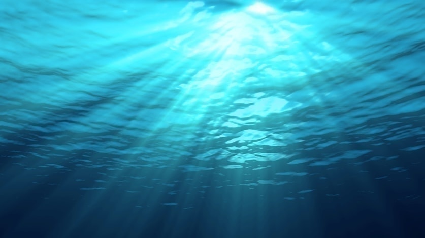 海洋深層水