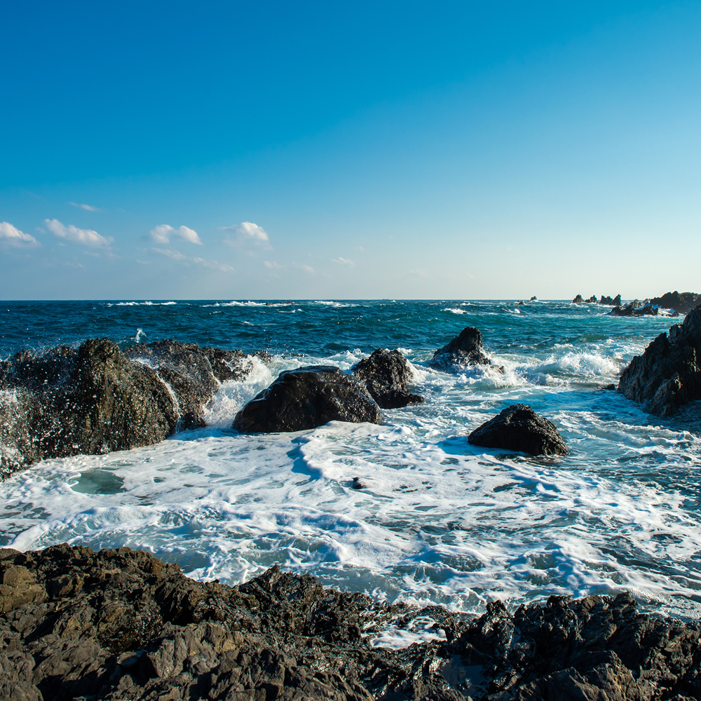 海洋深層水の取水地・室戸の海